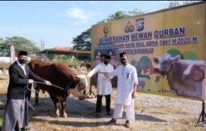 Hari Raya Idul Adha Polresta Sidoarjo Berqurban 19 Ekor Sapi dan 75 Ekor Kambing