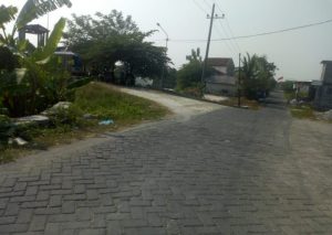 Pemdes Ngampel Manyar Keluhkan Armada Truk Sering Melewati Jalan Poros Desa Yang Rapuh