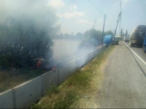 Kebakaran Lahan Marak Terjadi di Manyar Belum Ada Solusi Pencegahan Dari Pemkab Gresik