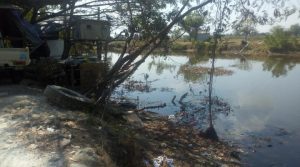 Warga Sembayat Protes Keras Adanya Stok Pile Batu Bara Diduga Ilegal Cemari Lingkungan