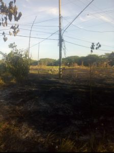Pembakaran Lahan di Area Instalasi Listrik Dapat Mengancam Keselamatan Publik