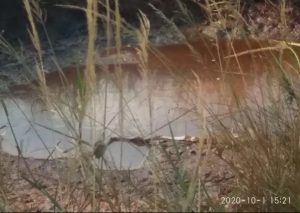 Warga Menganti Menjerit Akibat Dampak Limbah Cair B3, Kemana DLH Gresik