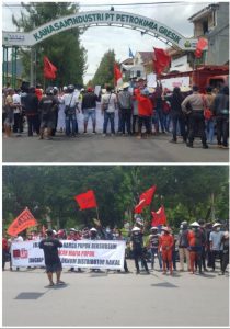 Pupuk Langka di Gresik, FORKOT Ngeluruk Aksi Demo ke PT.Petrokimia (Persero)