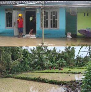 Banjir Musiman Genangi Puluhan Rumah Warga dan Persawahan di Desa Dekatagung Akibat Puncak Luapan Air Hujan