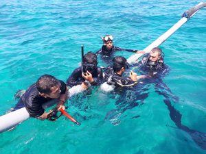 Indahnya Ekowisata Mangrove SuperBeru Bawean