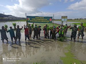 Progam Ketahanan Pangan Tahun 2021 Pada Masa Pandemi Kodim Tipe A 0831/ST