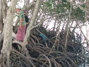 Mayat Tersangkut di Pohon Bakau Dusun Bringinan Desa Sungaiteluk
