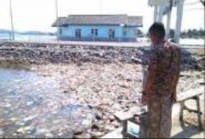 Fonomena Sampah Permanen di Pulau Bawean