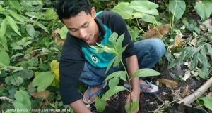 Gerakan Pemuda Peduli Lingkungan, Sasar Hutan Tanami Pohon Sukun di Pulau Bawean