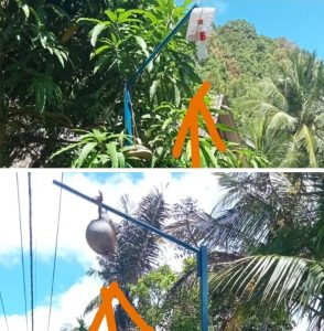 Pengadaan Penerangan Lampu Jalan Desa Kebuntelukdalam Mangkrak, Warga Geram Ganti dengan Kelapa