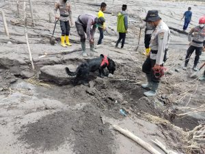 Polri Terjunkan K-9 Guna Optimalkan Pencarian Jenasah Erupsi Semeru