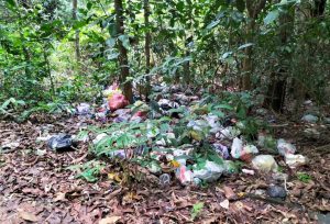 SAMPAH MENYELINAP HAMPIR DI SEMAK BELUKAR DI PULAU BAWEAN