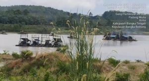 Tambang Timah ilegal kembali Hajar kolong Jongkong 12
