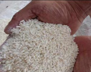 Bansos Rp 600 Ribu, KPM Dipaksa Beli Sembako Ternyata Beras Berkutu dan Tak Layak Konsumsi