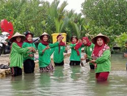 Peringati Hari Lingkungan Hidup, Penggerak lingkungan bersama AKD se Bawean dan Ftayat NU Gelar Aksi Cinta Lingkungan
