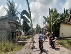 Gegara Banyak Jalan Berlubang, Warga Berinisiatif Tanam Pohon Pisang