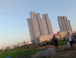 Sumbar Polisi Tidak Berani Grebek Arena Judi Merpati di Prada Indah, Kasat Reskrim Polrestabes Surabaya Meradang