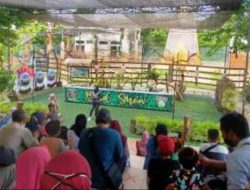 Momen Idul Adha 2022, Objek Wisata Maharani Zoo dan Goa Lamongan Tampak Sepi
