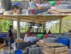 Rasa dan Kualitas yang Menjamin. Produk Tahu Asal Sampang, Pikat Konsumen Hingga ke Luar Daerah