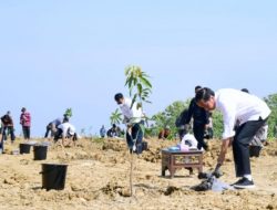 Presiden Jokowi Luncurkan Lumbung Pangan Berbasis Mangga Dan Taksi Alsintan Di Kabupaten Gresik