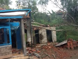 Tertimpa Pohon Tumbang, Rumah dan Kamar Mandi Warga Sampang Rusak Berat