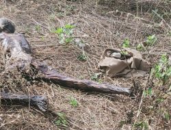 Ditemukan Mayat Mengering di Tengah Tegalan Desa Purworejo Pungging