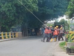 Personel Polsek Driyorejo Polres Gresik Bantu Evakuasi Pohon yang Kropos dan Rawan Tumbang