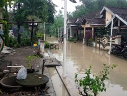 Banjir Tahunan Kembali Melanda, Beberapa Desa Terdampak Luapan Kali Lamong di Balongpanggang