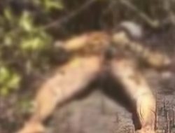 Mayat Misterius Gegerkan Warga Desa Aengsareh Sampang
