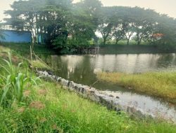 Diduga Proyek Siluman TPT Waduk Dusun Peniron Kulon, Gading Watu Tak kunjung Rampung