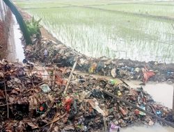 Tumpukan Sampah di Area Sawah Dikeluhkan Para Petani Desa Kedongdong
