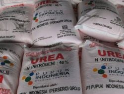 Diduga Patok Harga  240ribu/Sak Pupuk Bersubsidi Jenis UREA, Oknum Pemilik Kios di Tambelangan Disoal Warga