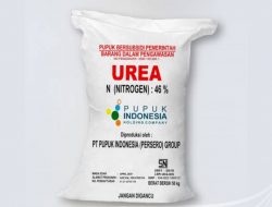 Langgar Permendag HET Pupuk Bersubsidi, Oknum Pemilik Kios CV.Usaha Tani di Kecamatan Tambelangan Dikeluhkan Petani