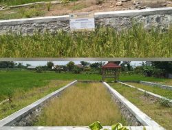 DD Diduga Ajang Korupsi Kades Sidoraharjo, Inspektorat Harus Audit Proyek Kolam Ikan