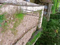 Diduga Proyek Siluman, Pembangunan Jembatan di Desa Banjarbillah Mangkrak Sebelum Berfungsi