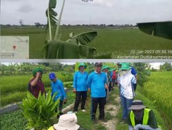 Gapoktan bersama Warga Desa Tumapel Gunakan Alat Modern Drone Semprot Hama