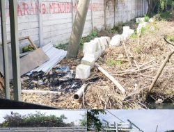 Koordinator Security PT Panasiba, Angkat Bicara Tentang Berita Oknum Security PT Panasiba Diduga Menyewakan Lahan Milik Pemerintah