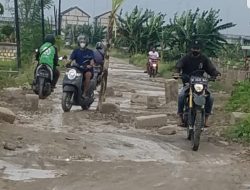 Kondisi Jalan Poros Banjarsari – Kedanyang Memprihatinkan, Ini Harapan Warga Kepada Pemkab Gresik