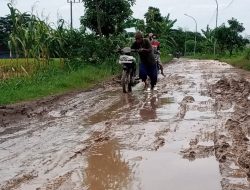 Miris. !! Jalan Poros Kabupaten di Desa Ngampel Balongpanggang Rusak Parah, Mesti Diatensi PemKab Gresik