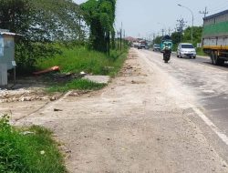 Kasatpol PP Kab. Gresik Suprapto Akan Panggil Pelaksana Urukan, Terkait Ceceran Limstone di Jalan Raya Deandles Banyuwangi Manyar