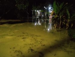 Kali Lamong Meluap, Warga Dusun Kedungdowo, Dapet Di Hantui Banjir