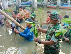 Jajaran TNI diseluruh Indonesia serentak melakukan penanaman Mangrove Nasional
