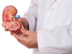 Cara MUDAH Dan AMAN Sembuhkan Kencing Batu / Batu Ginjal TANPA OPERASI