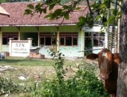 Polemik Sengketa Lahan, Ancam Siswa SDN Madulang-2 Putus Sekolah