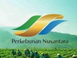 PTPN Holding Bantah Isu Tagihan Macet, Namun Ribuan Vendor Menjerit