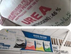 Pemilik Akui Jual Pupuk Bersubsidi Jenis UREA Diatas HET, Aktivis Desak Pemerintah Cabut Ijin Kios di Omben