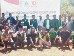 Semarak HUT Kemerdekaan RI ke-78, PAC-GP Ansor Omben Gelar Turnamen Tarik Tambang