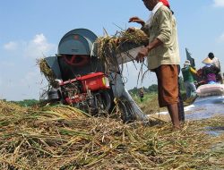 Khofifah Desak Kepala Daerah Gelar Operasi Pasar