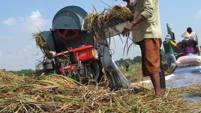 Khofifah Desak Kepala Daerah Gelar Operasi Pasar
