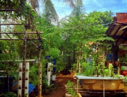 Selain Sehat, Berkebun Membuat Disayang Istri